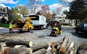 Best Utility Line Clearance  in Cheswick, PA